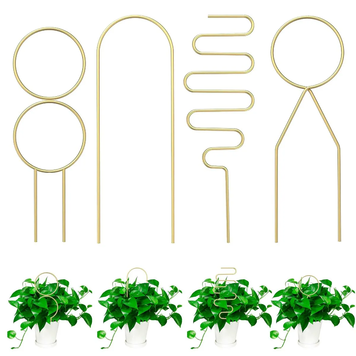 Gold 4-Piece Plant Climbing Support compatible with Potted Plants