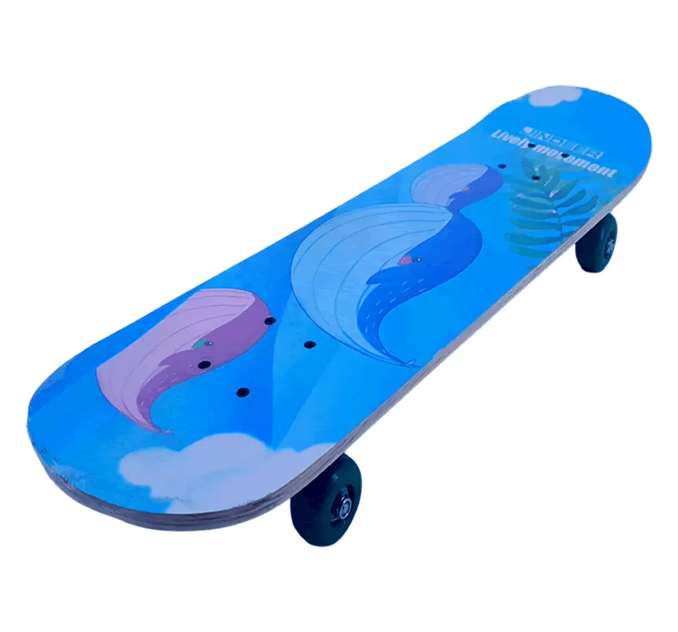 Urban Cruiser Skateboards - 70cm