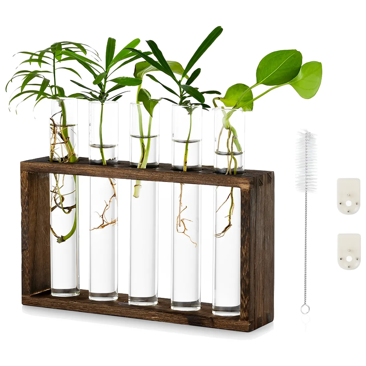 5 Glass Planter with Wooden Stand Desktop Plant Terrarium Hydroponic Vase - Brown