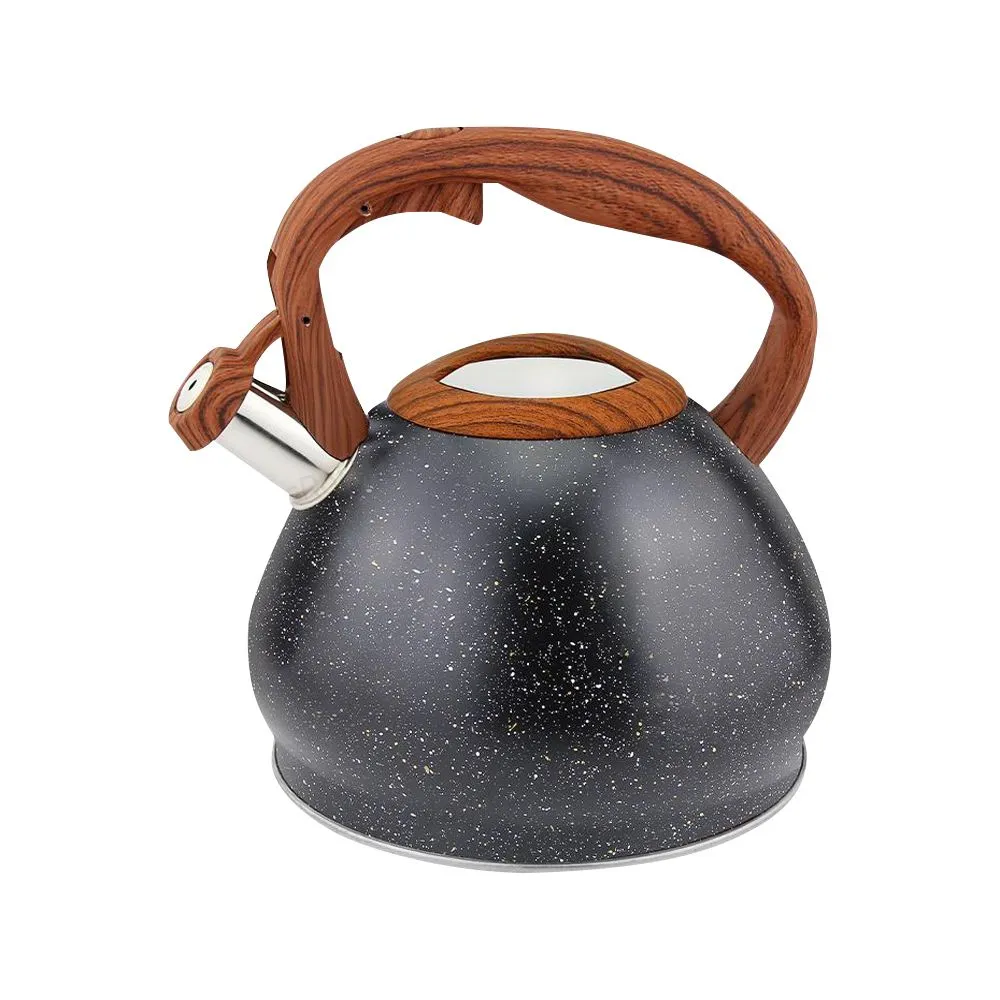 DH - Stainless Steel Gas Stove Whistle Kettle - 3.0L - Black