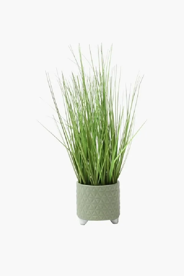 Potted Grass