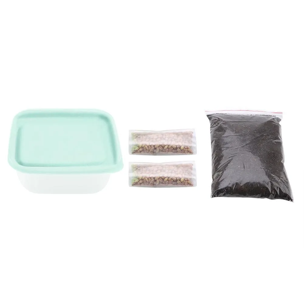 DIY Cat Grass Germination Kit with Seeds and Soil Random Lid Color