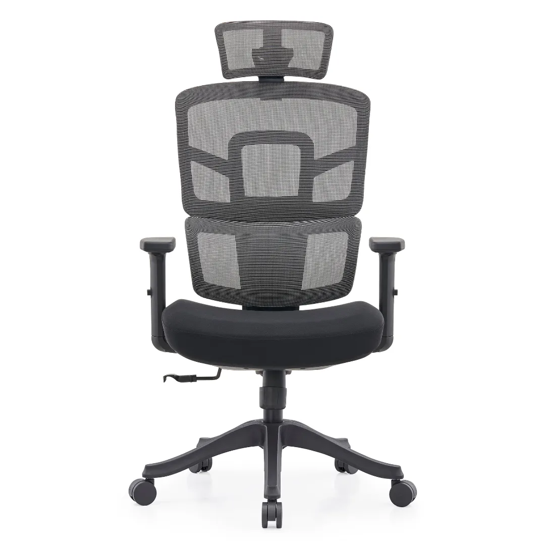 Aligné SpineX High-Back Executive Ergonomic Office Chair