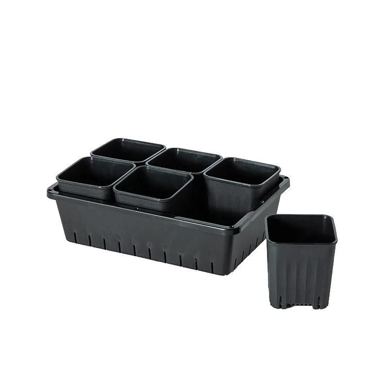 Garden Decor Succulents 6 Square Cup Pots With Grid Tray (26cm) - Black