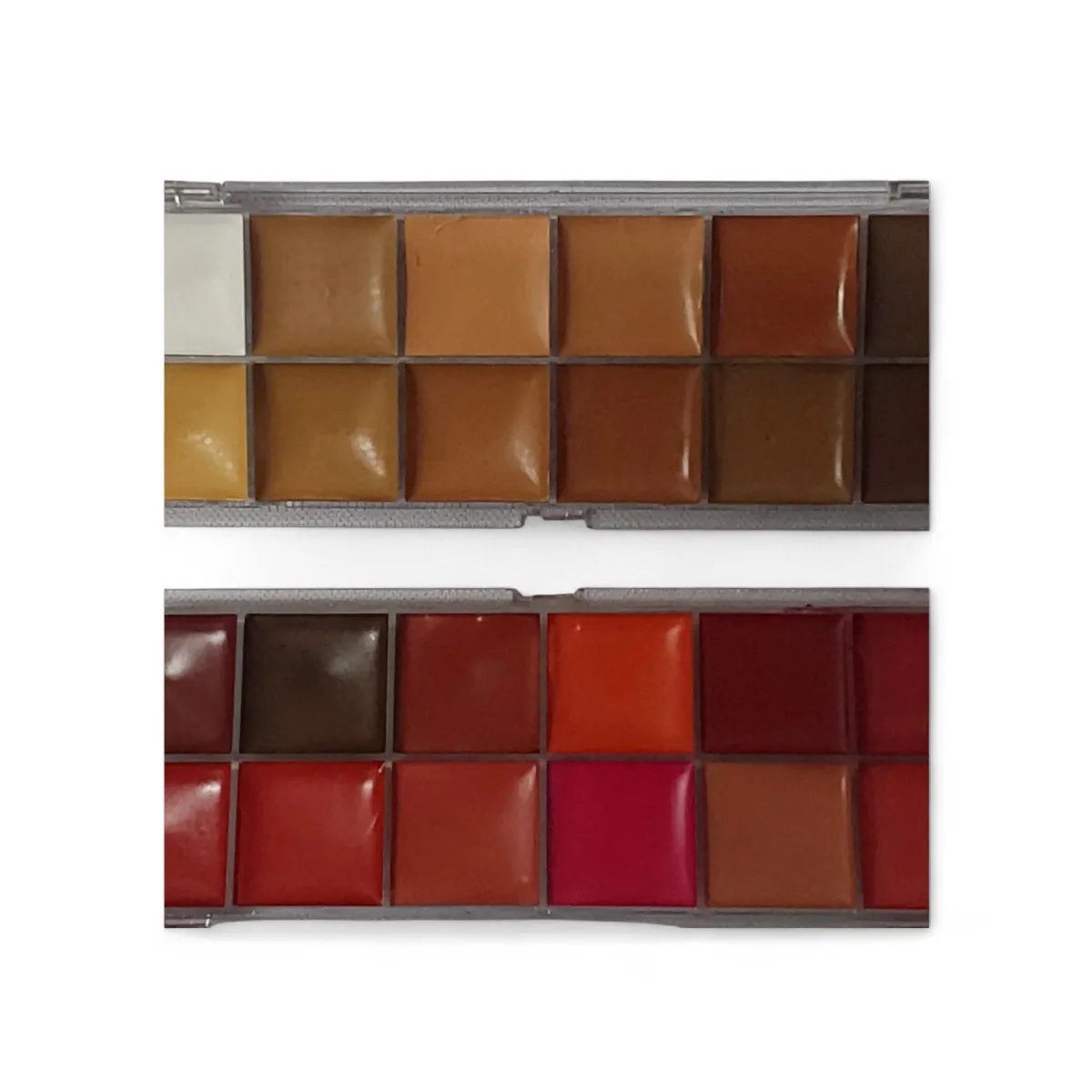 Professional 12 Colour Lipstick and Concealer Palette