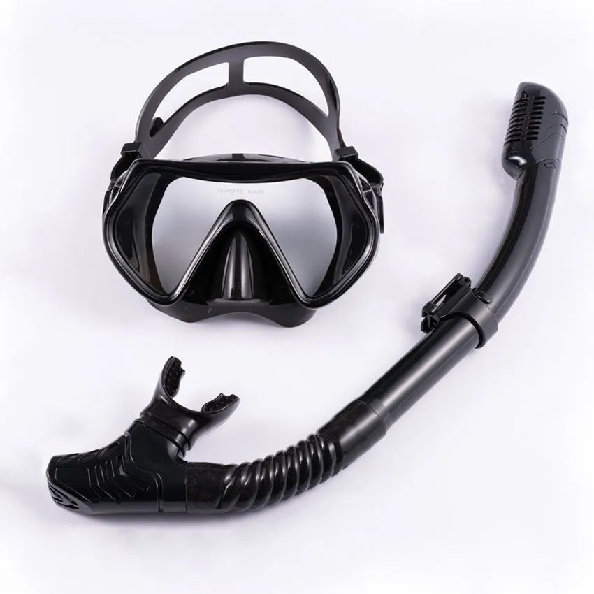 Snorkeling Adult Anti-Fog Diving Mask and Dry Snorkel Set - Black