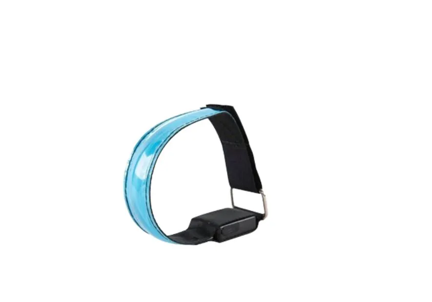 LED Light Adjustable Sports Armband - Blue