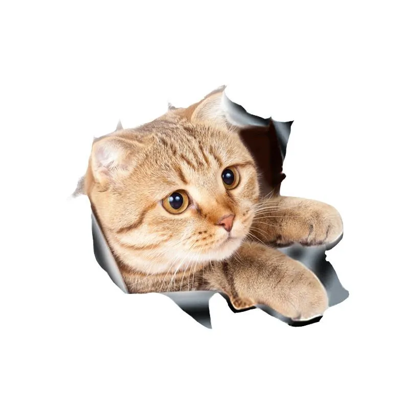 Small 3D Cat Car Sticker - Style 3
