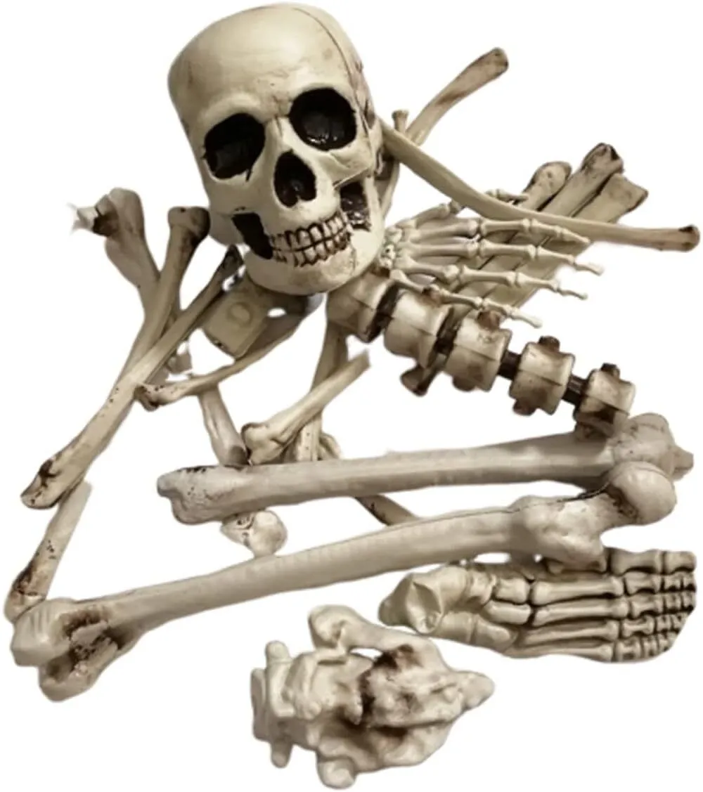19pcs Plastic Skeleton Skull Props for Halloween Decor Scary Skeleton
