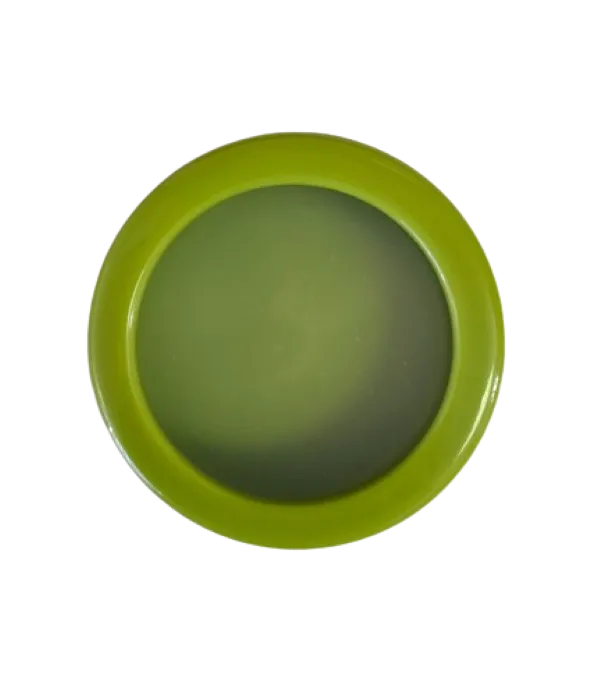 Fruit And Veg Storage Container - Reusable Sealed Film Keeping Food Fresh - Green