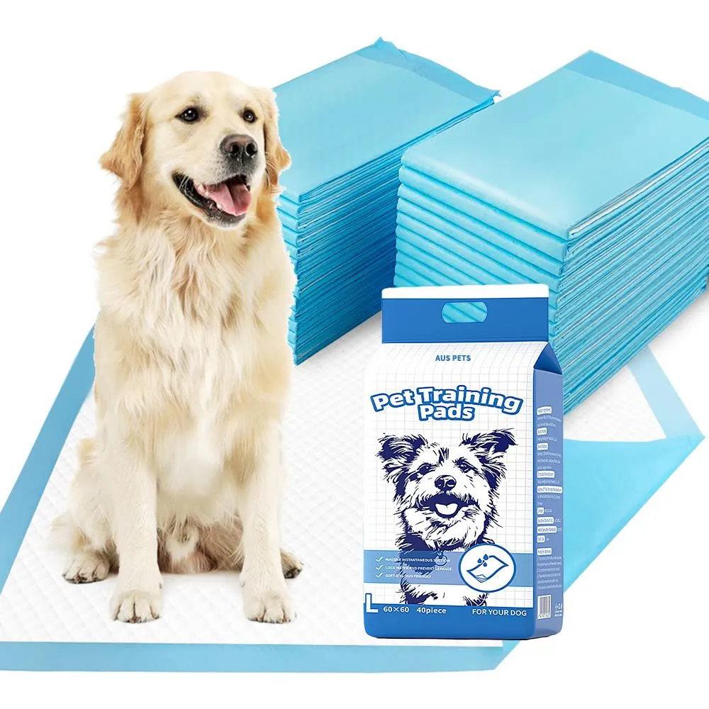 40pcs Disposable Training Pet Pee Pads Super Absorbent & LeakProof 60x60-L
