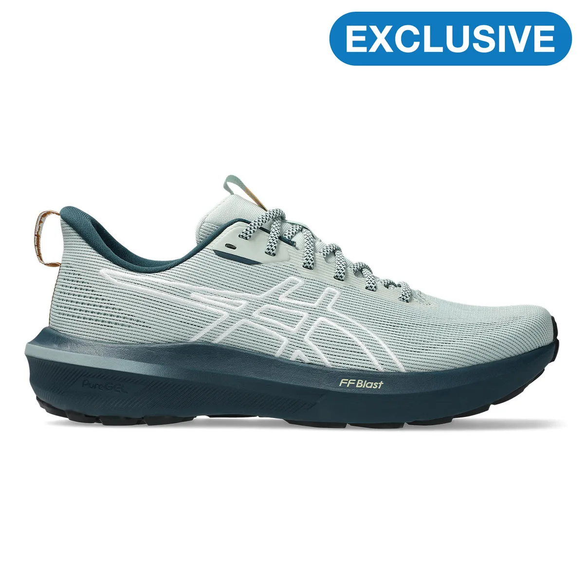 Asics Men's GT-1000 14 TR Trail Running Shoes - Nature Bathing