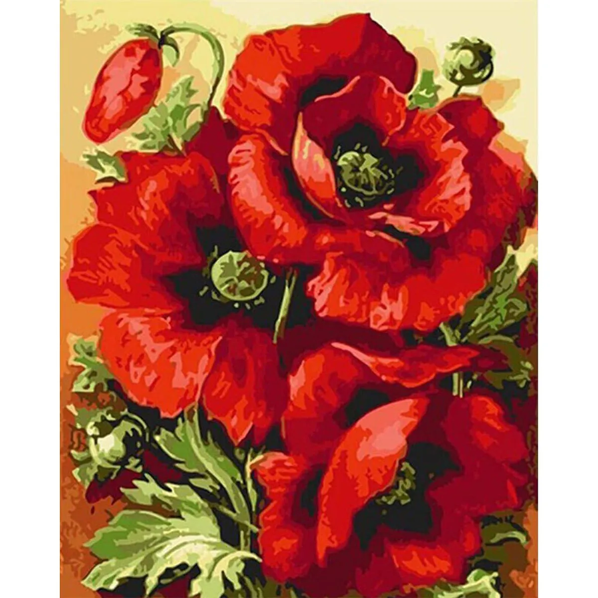 Paint By Numbers DIY 40cmx50cm Frame - Red Poppy Flowers