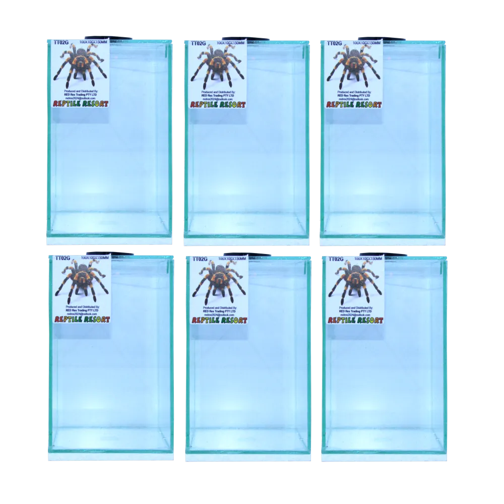 Reptile Resort TT02G Glass Spider Enclosures 100x100x150mm (6 Pack)
