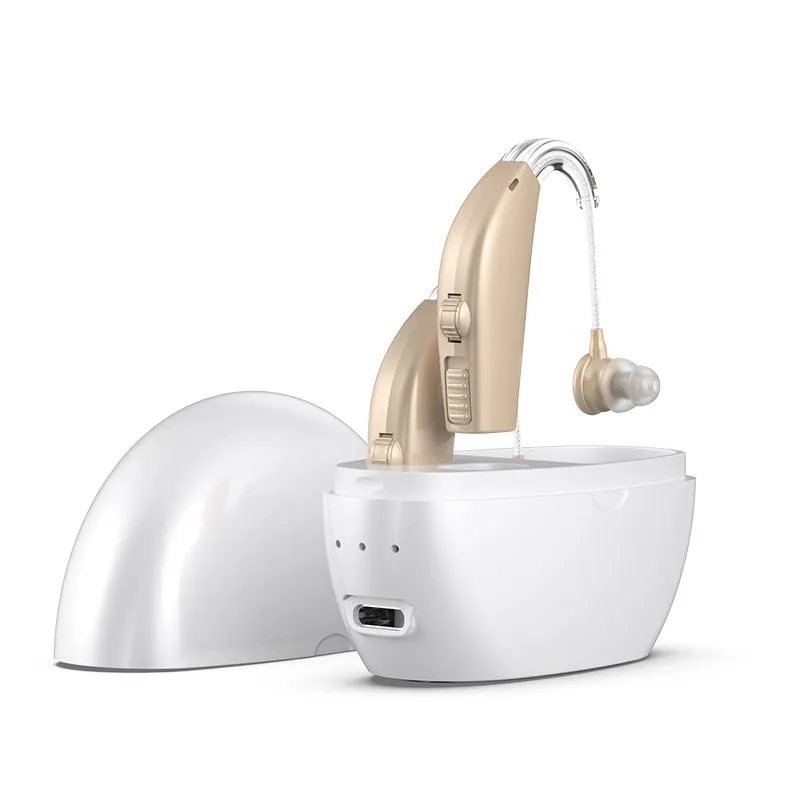 Portable Voice Amplifier for the Elderly with Noise Reduction