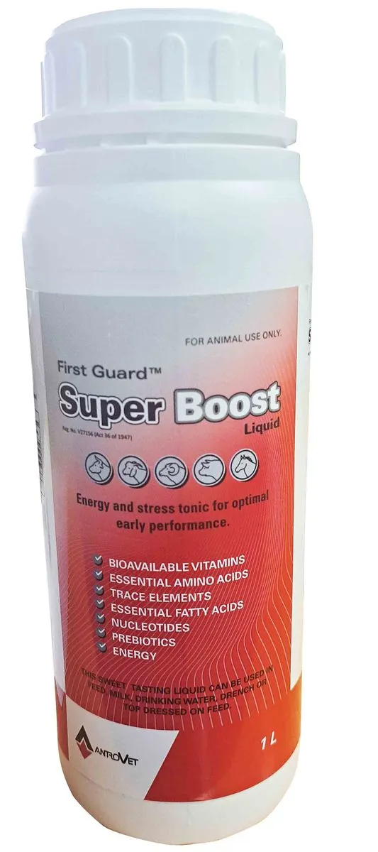 First Guard Super Boost - Vitamins