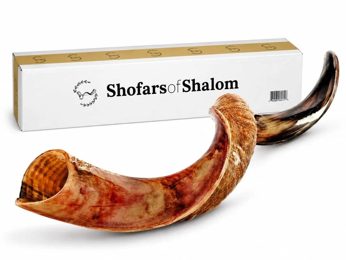 Shofars of Shalom Giant Kudu Shofar 120cm+ Extremely Rare Extra Large Horn