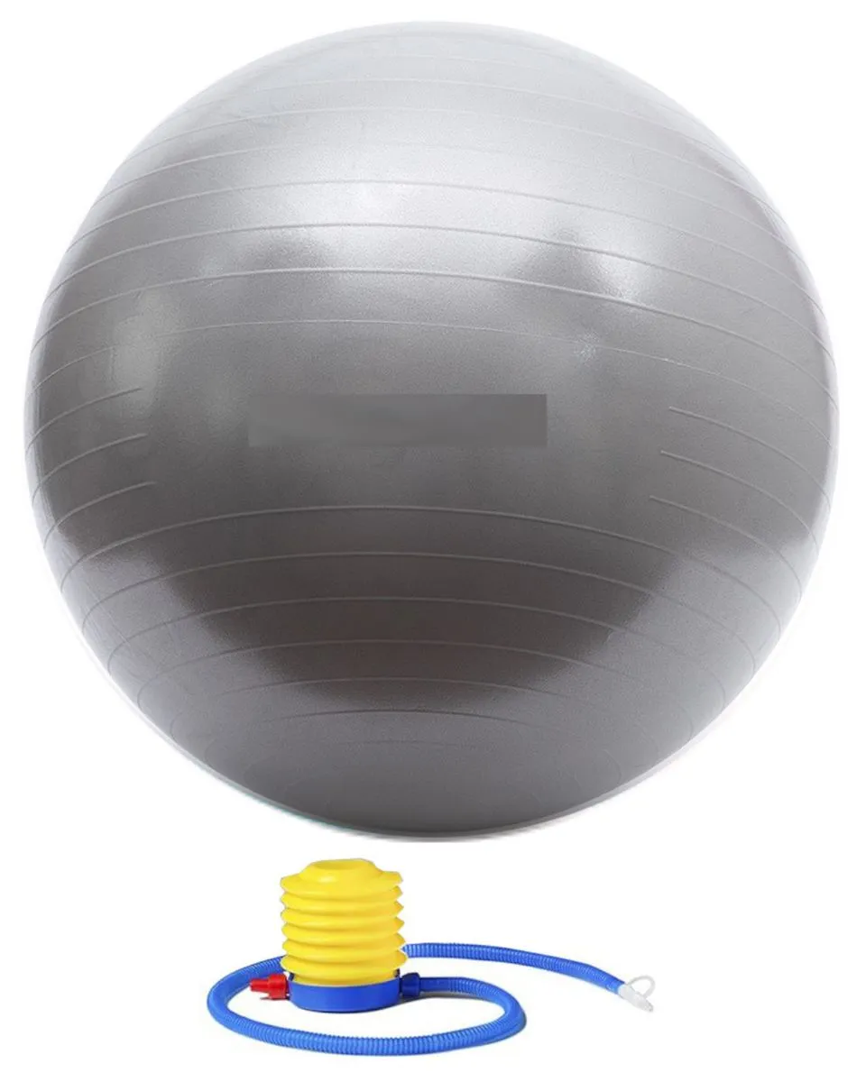 Olive Tree - 65cm Yoga & Pilates Exercise Ball & Pump - Space Grey