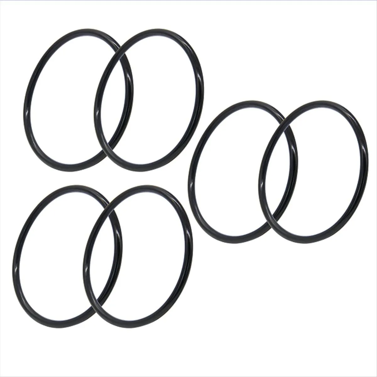 R172009 O-Ring for Pentair Model 300/320 Pool and Spa Chlorinator Lid