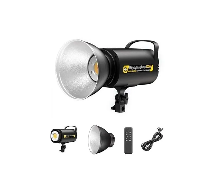 300W Professional LED Studio Light with Remote Control for Live Photography