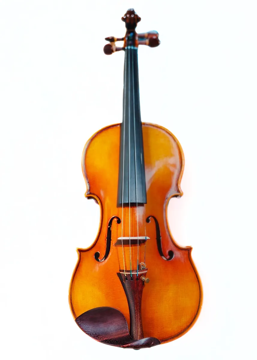 Sandner G2 Master Violin Outfit - 4/4