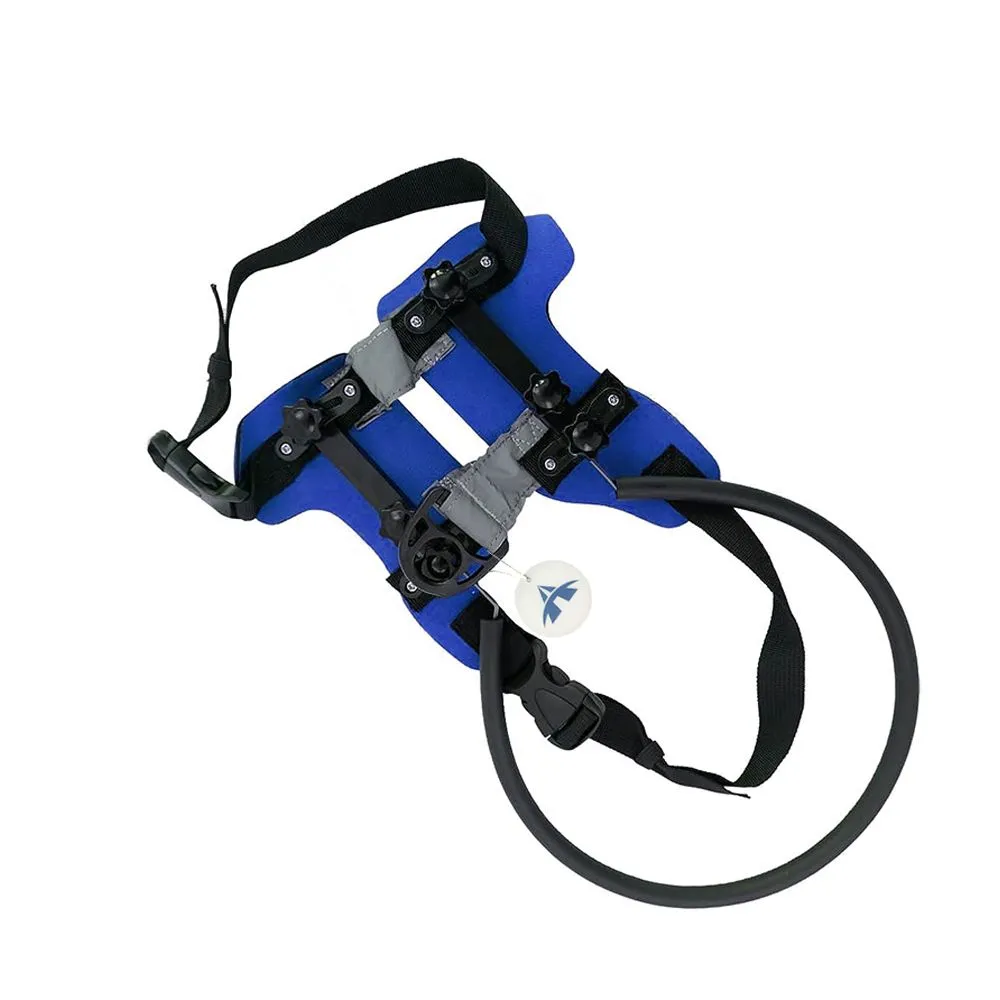 Adjustable Anti-Collision Head Protection Halo Ring for Blind Pet Dog - Blue