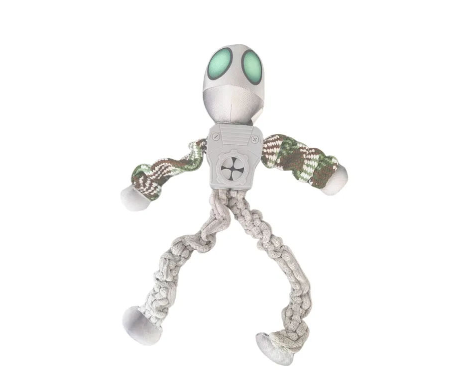 Pet Interactive Robot Toy