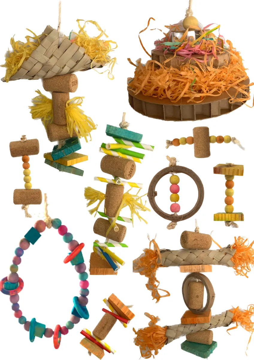 Parrot Toys Bundle - 10 Interactive Toys for Parrots and Birds