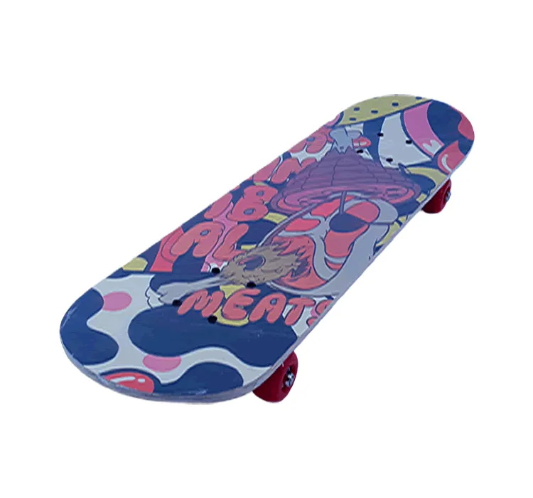 Urban Cruiser Skateboards-70cm