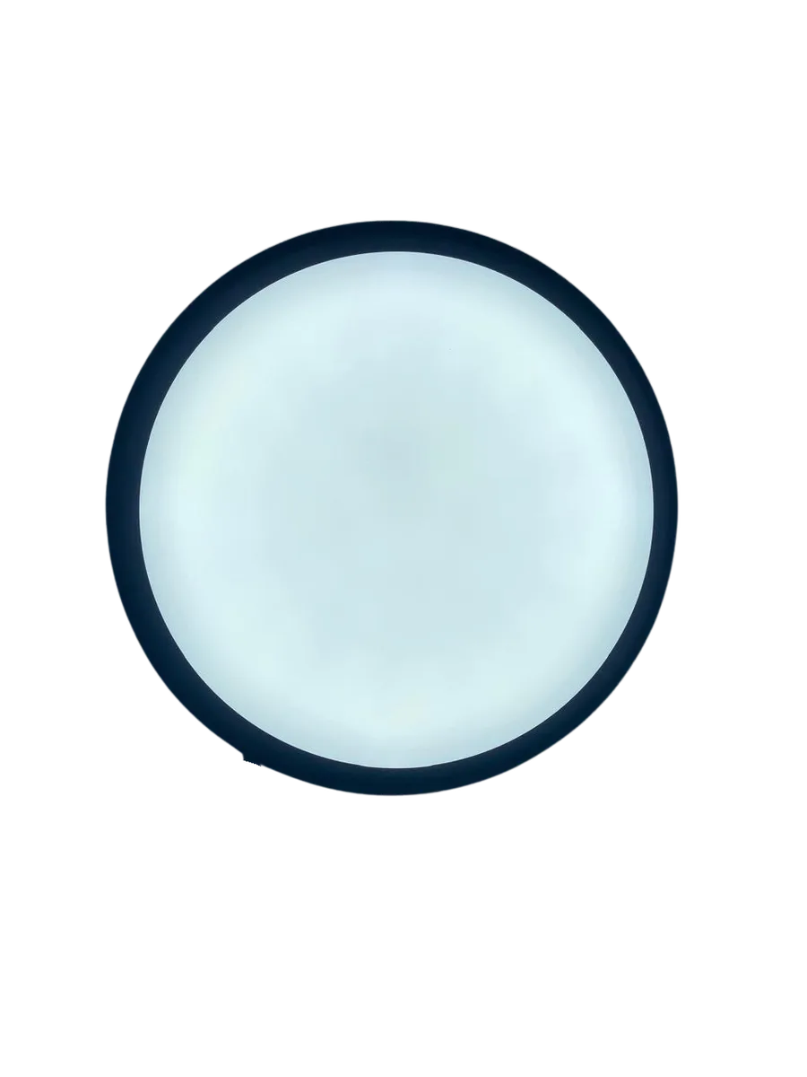 Adjustable Wattage IP65 And 3 CCT Outdoor-Indoor Light - Black