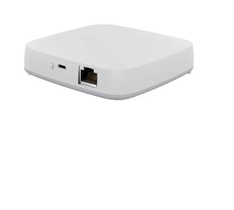 Smart Home Central Control Unit, Supports ZigBee 3.0 Protocol