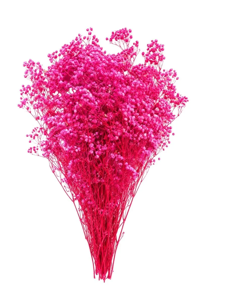 Preserved Pink Baby's Breath Flowers