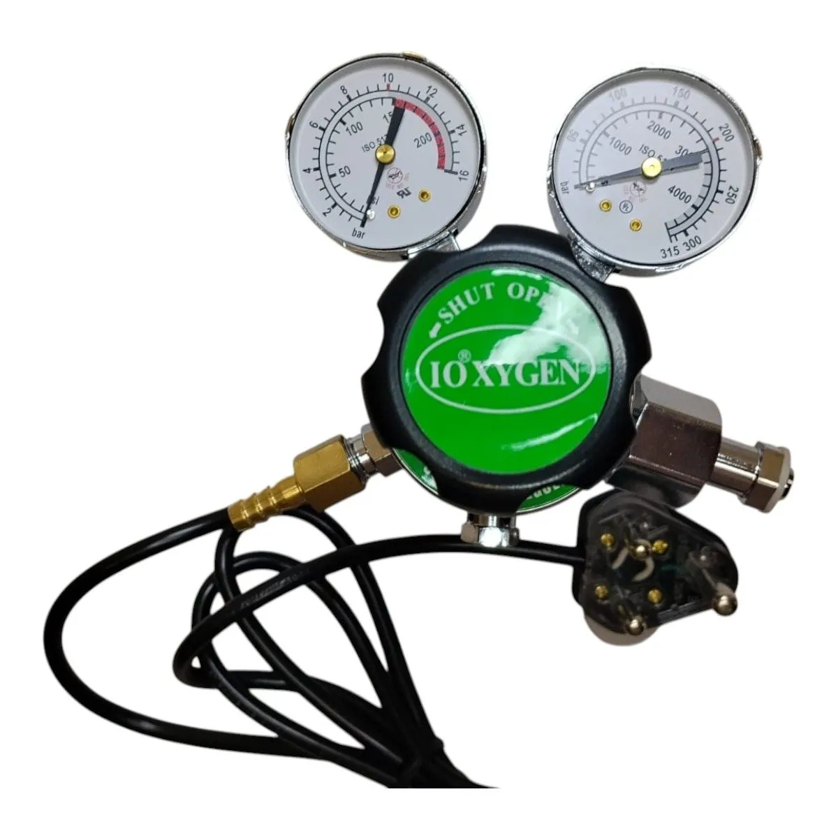 Heated CO Regulator (10 Bar, 220V)