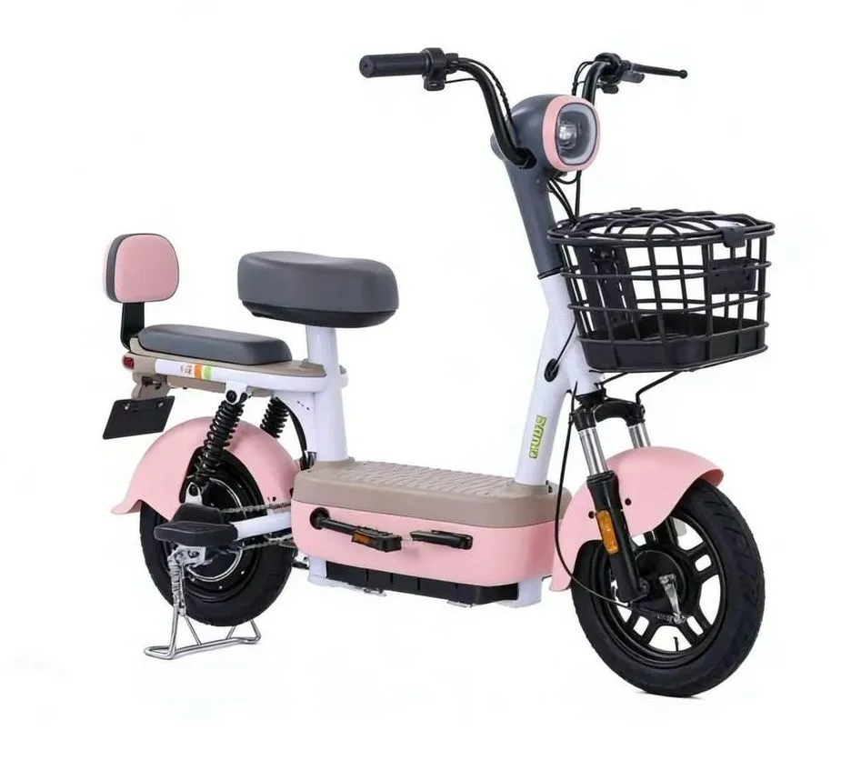 48V Hybrid Electric Bike - Compact & Practical Ride