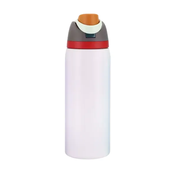 Insulated Stainless Steel Water Bottle with Straw for Sports /Travel - 32Oz - Ashen 