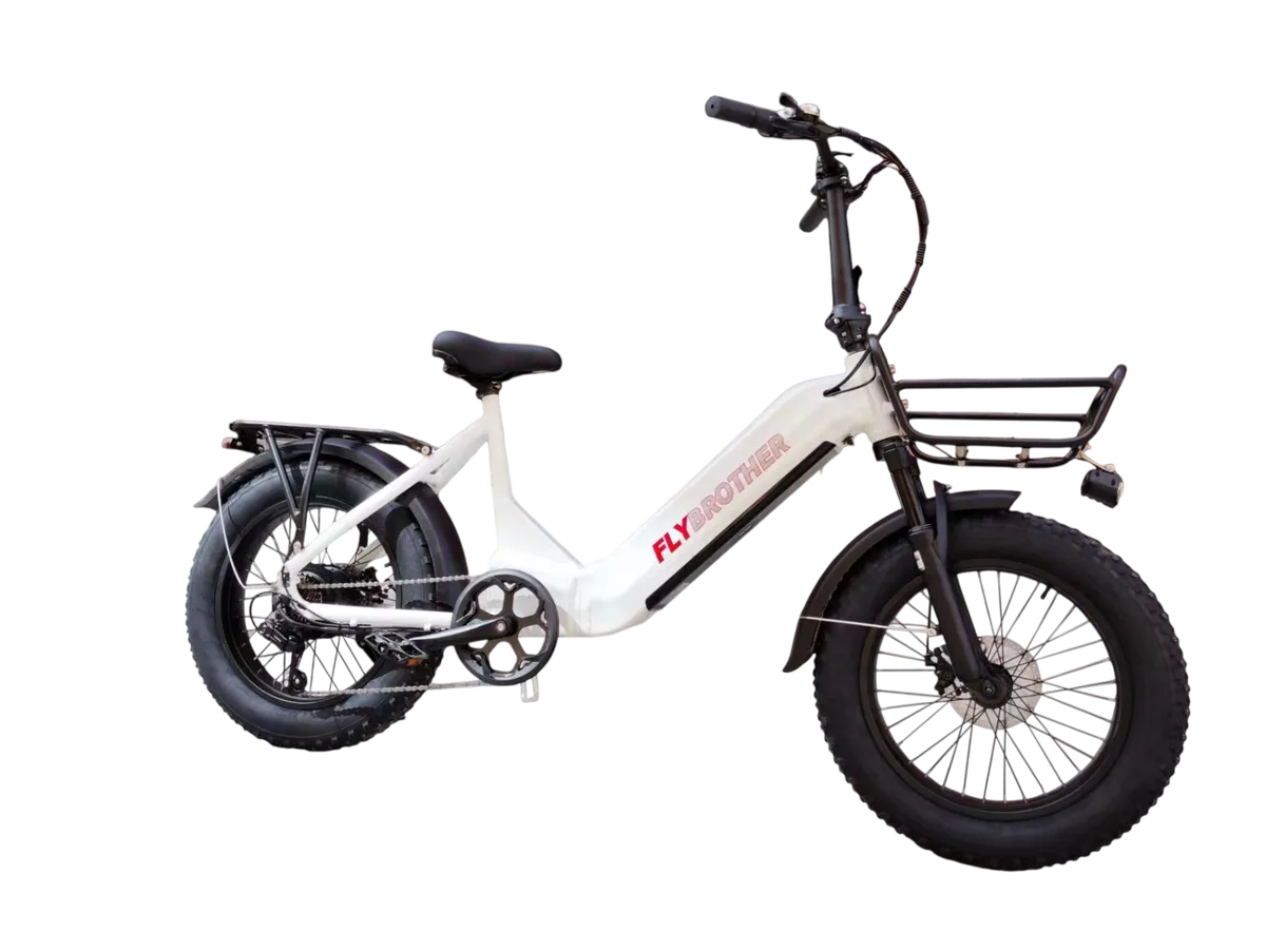 Electric Bicycle 750W 48V