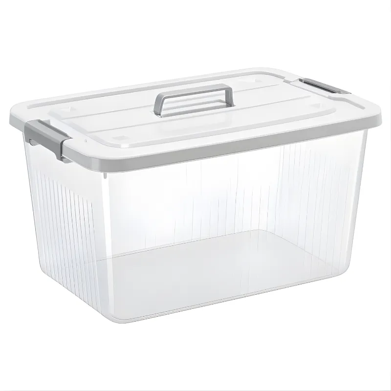 3 - Piece Transparent Plastic Storage Box With Lid
