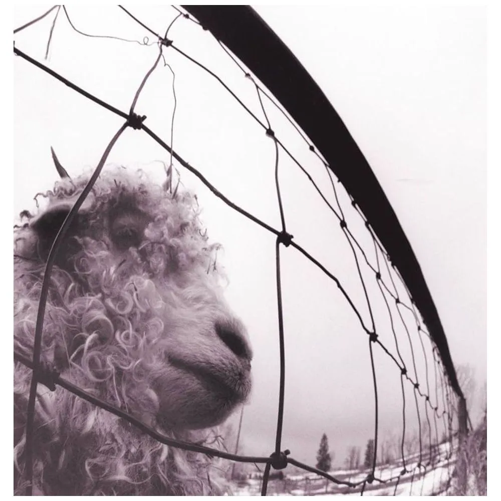 Pearl Jam - Vs. [Limited Edition Clear Vinyl LP, Reissue, Remastered]