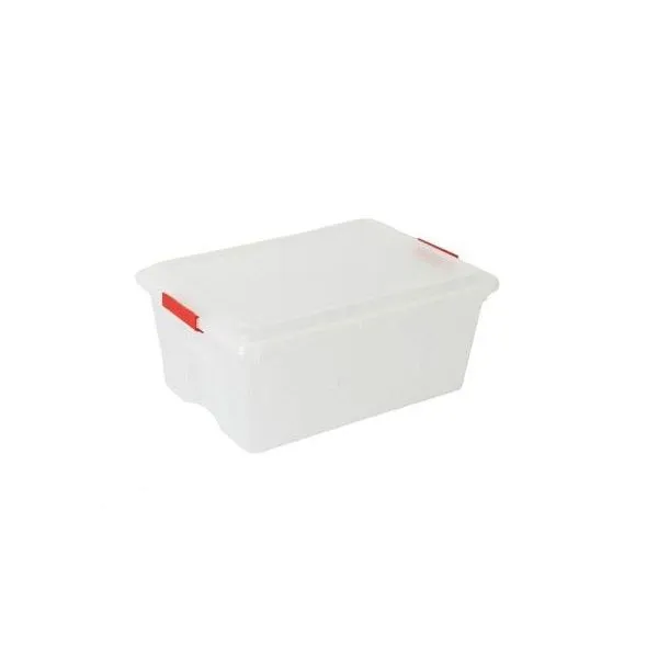 Storage Container with Clip Lid - Set of 2