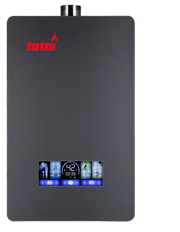 Totai 13/GWH12GL Indoor Fan Forced Gas Geyser 12L -Black