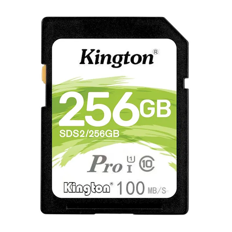 256GB Class 10 UHS-I SD Card 100MB/s for DSLR Cameras
