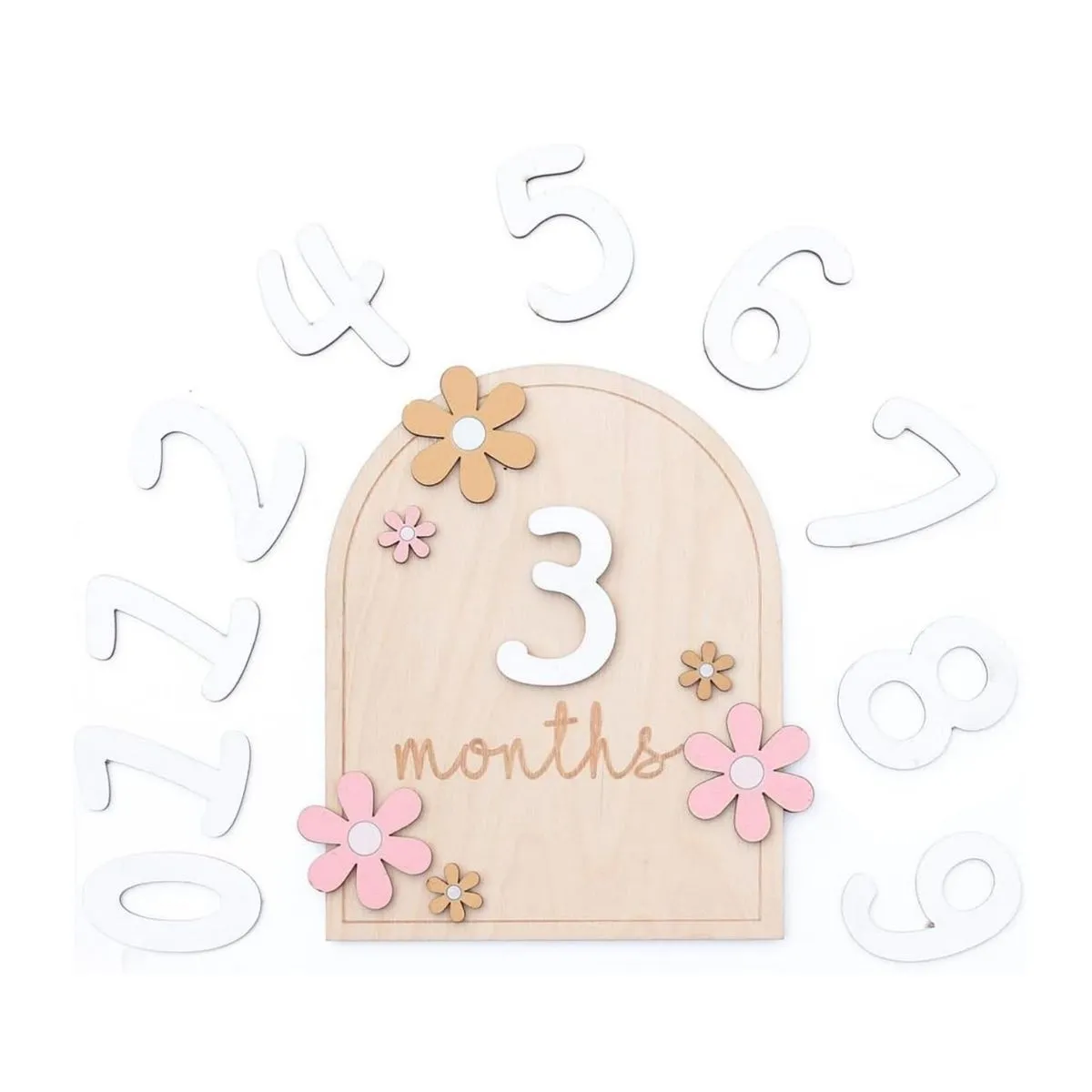 Wooden Baby Monthly Milestone Disc,Double Sided Milestone for Newborn Cards
