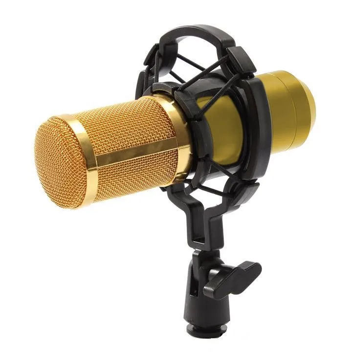 Pro Stage/Music/Broadcast Condenser Microphone & Studio Equipment Set GOLD