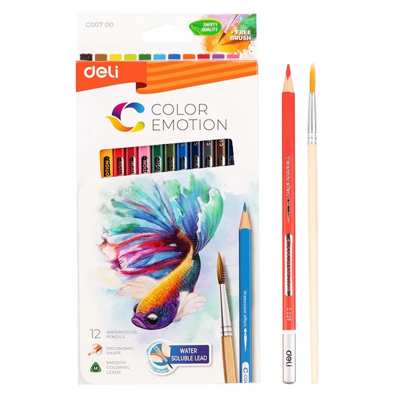 Watercolour Pencils - 12 pack