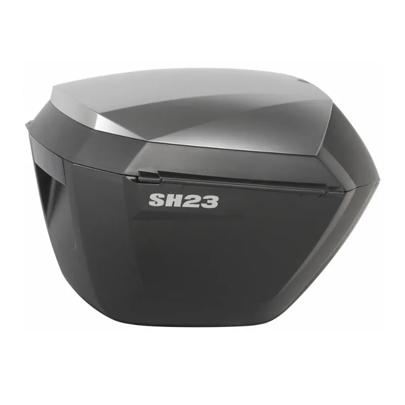 Shad SH23 Side Cases (Alu Look) & Mounting for a bmw G310R/GS (17-20)