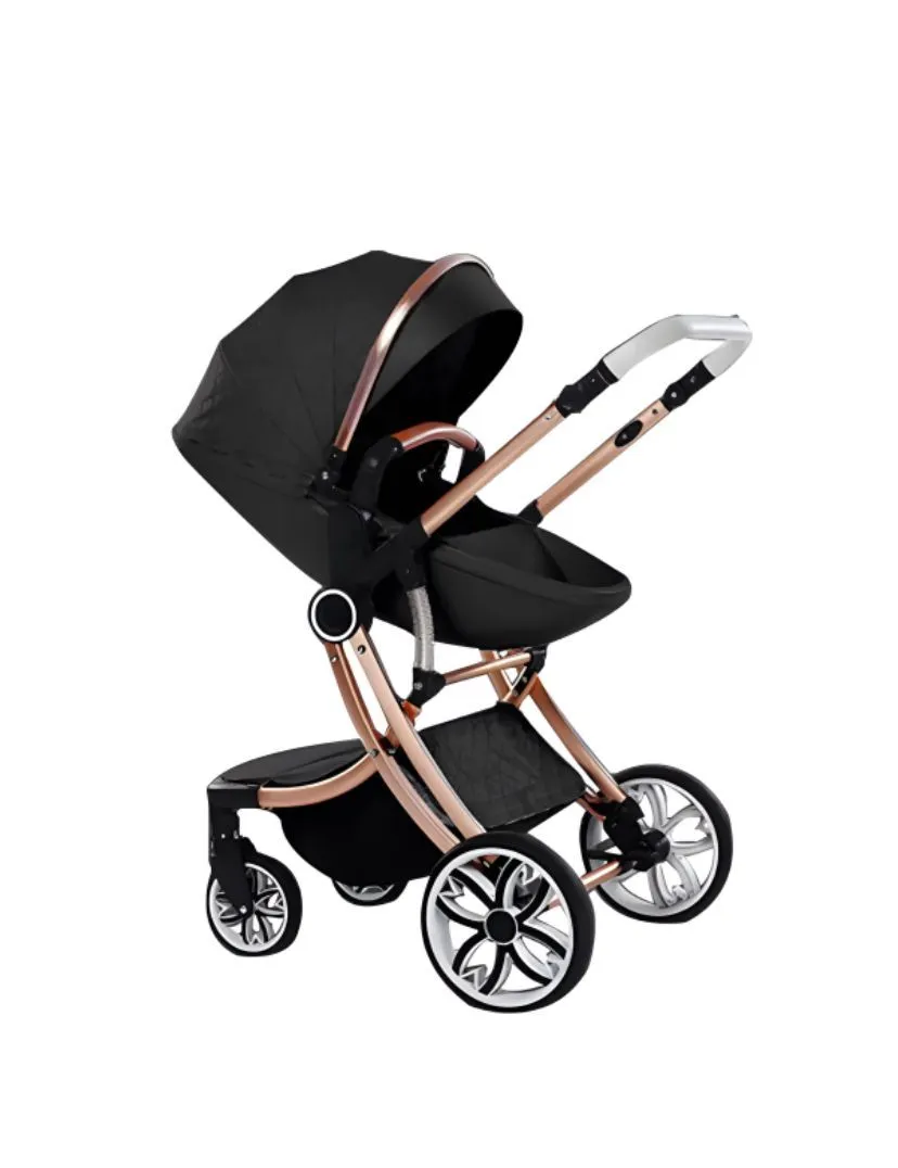 2-in-1 Baby Stroller Pram