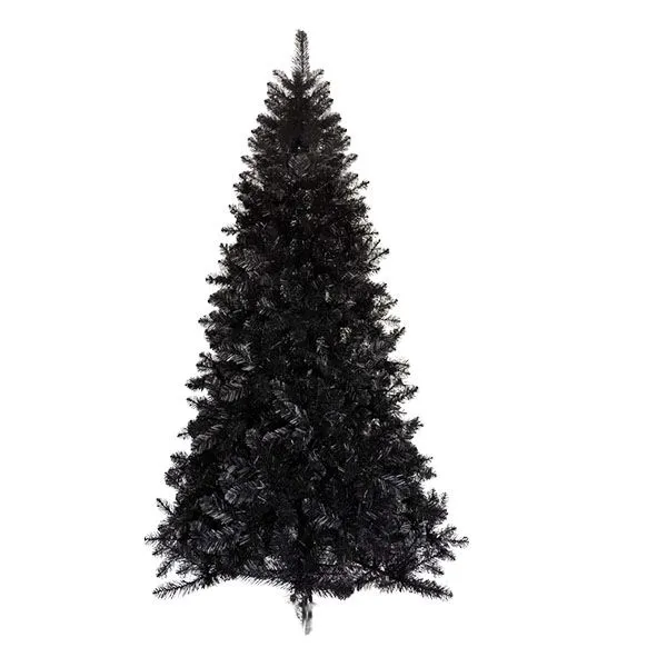 Columbian Black Christmas Tree