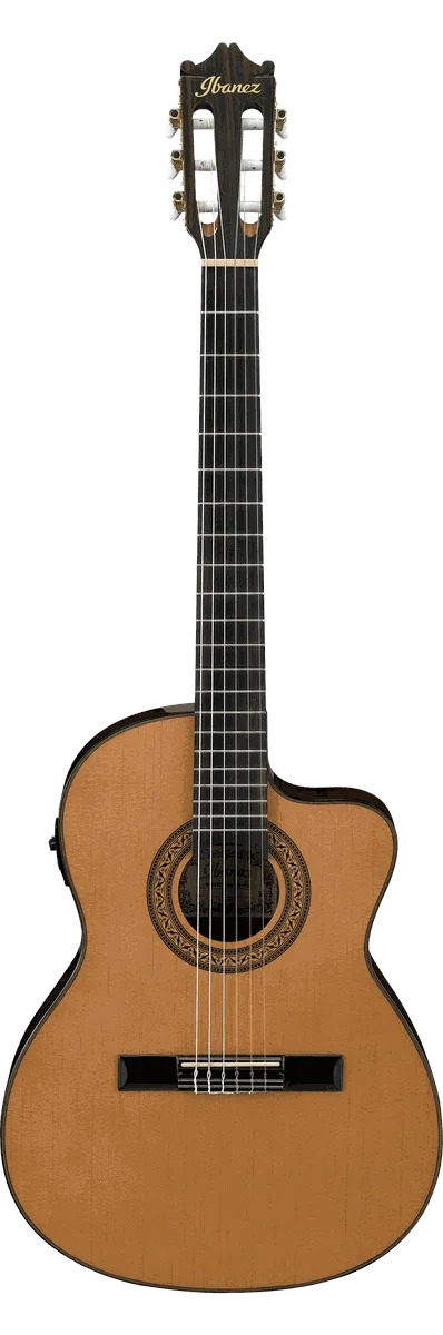 Ibanez GA5TCE-AM Electric-Classical Guitar