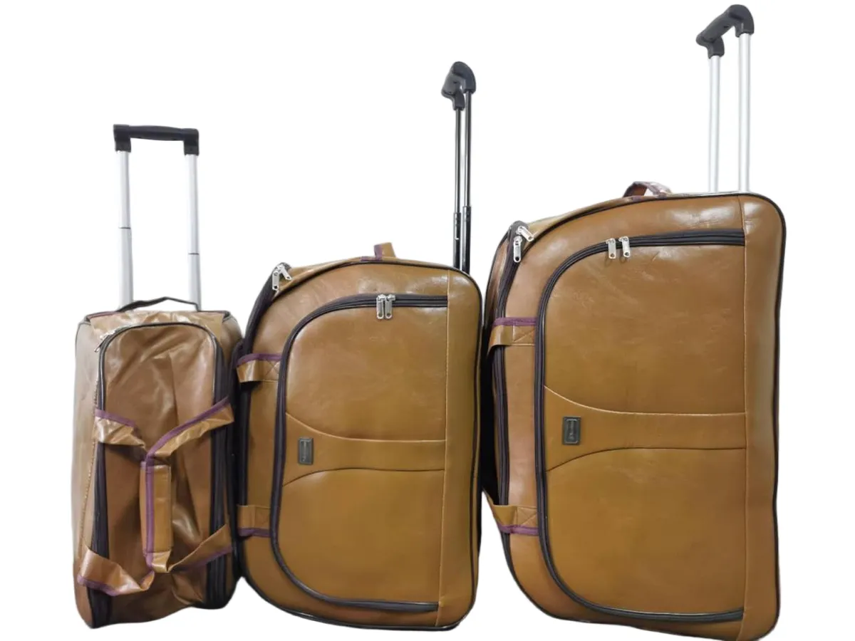 Travel Luggage Bag Set 3 Piece