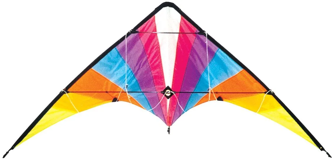 Allwin Delta Stunt Kite Dual Line - 160cm x 80cm